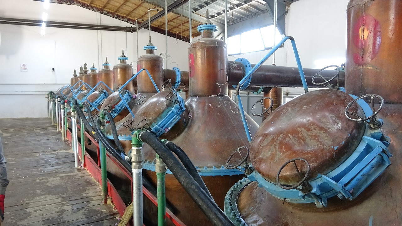 Foto - Dünya gül yağı üretiminin kalbi! Tam 50 milyon euro ihracat geliri