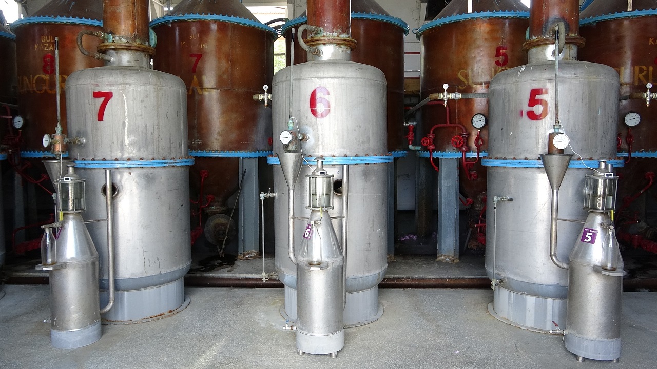 Foto - Dünya gül yağı üretiminin kalbi! Tam 50 milyon euro ihracat geliri