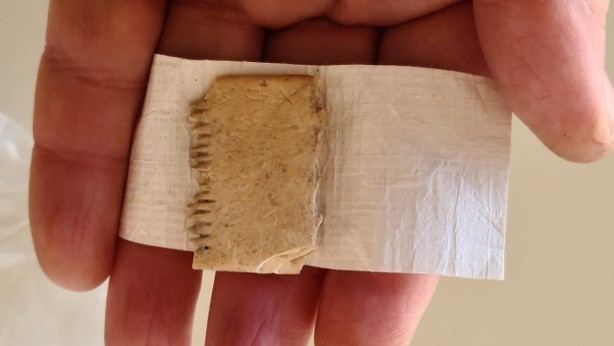 Foto - Dünya gündemini altüst eden keşif! Anlamı 5 yılda çözüldü... Bakın neymiş