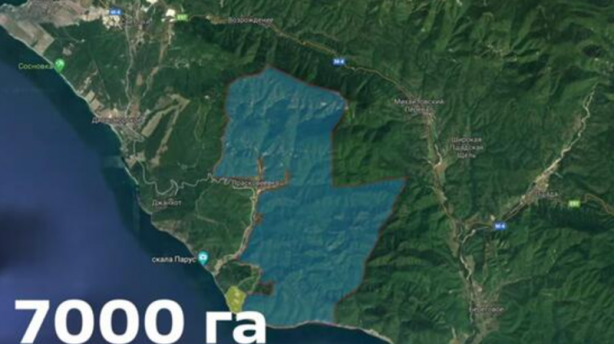 Foto - Dünya günlerdir bu videoyu konuşuyor! Putin'den şok cevap geldi