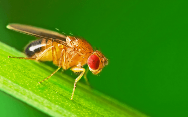 Foto - Dünya için resmen kıyamet alametiydi! Tüm dünyayı dehşete düşürmüştü! Yeni bir gelişme var