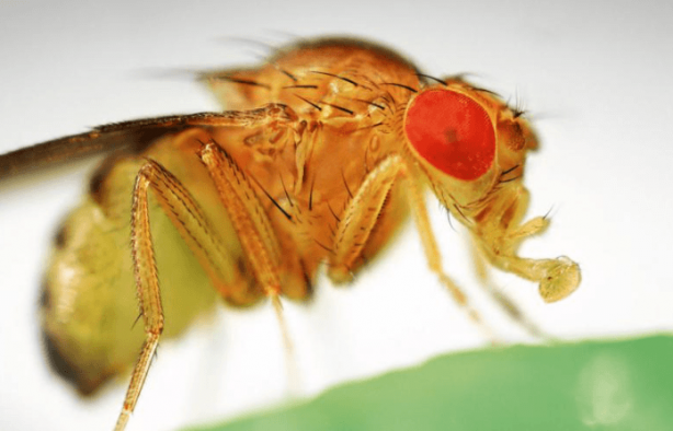 Foto - Dünya için resmen kıyamet alametiydi! Tüm dünyayı dehşete düşürmüştü! Yeni bir gelişme var