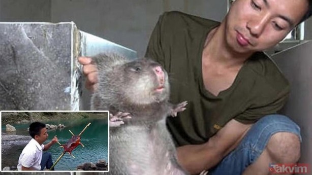 Dünya koronavirüsle mücadele ederken onlar uslanmak bilmiyor! Yasaklanmasına rağmen canlı yayında yediler