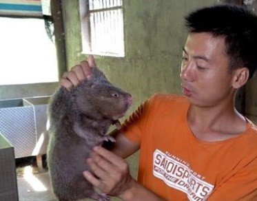 Foto - Dünya koronavirüsle mücadele ederken onlar uslanmak bilmiyor! Yasaklanmasına rağmen canlı yayında yediler