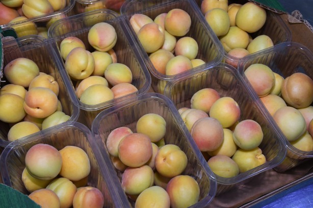Foto - Dünya kuru kayısı üretiminin yüzde 85'ini karşılıyoruz ama! Malatya'da üreticiler işçi bulamıyor