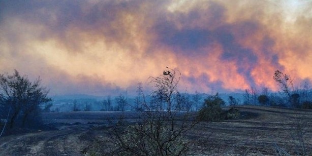 Dünya Meteoroloji Örgütü'nün çağrısı: Maalesef yeni felaket kapıda! Küresel kriz raporu şaşırttı