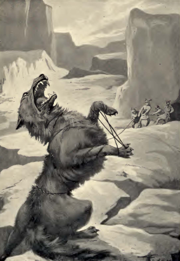 Foto - Dünya mitolojisinde ‘Bozkurt’un yeri! Bu öfke neden?