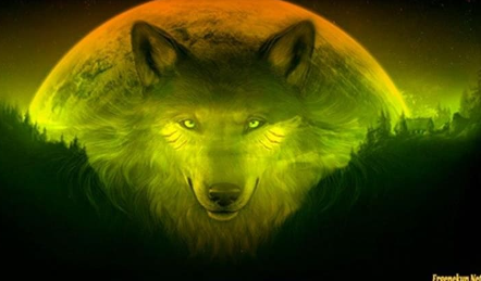 Foto - Dünya mitolojisinde ‘Bozkurt’un yeri! Bu öfke neden?