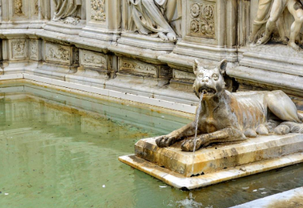 Foto - Dünya mitolojisinde ‘Bozkurt’un yeri! Bu öfke neden?