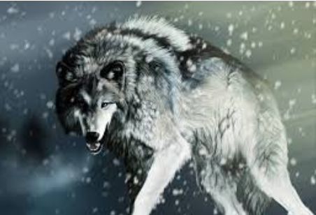 Foto - Dünya mitolojisinde ‘Bozkurt’un yeri! Bu öfke neden?