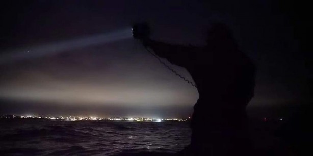 Foto - Dünya o kuşun peşine düştü! Zifiri karanlıkta savaş başladı! Sonunda ele geçirildi! Çok gizemli 
