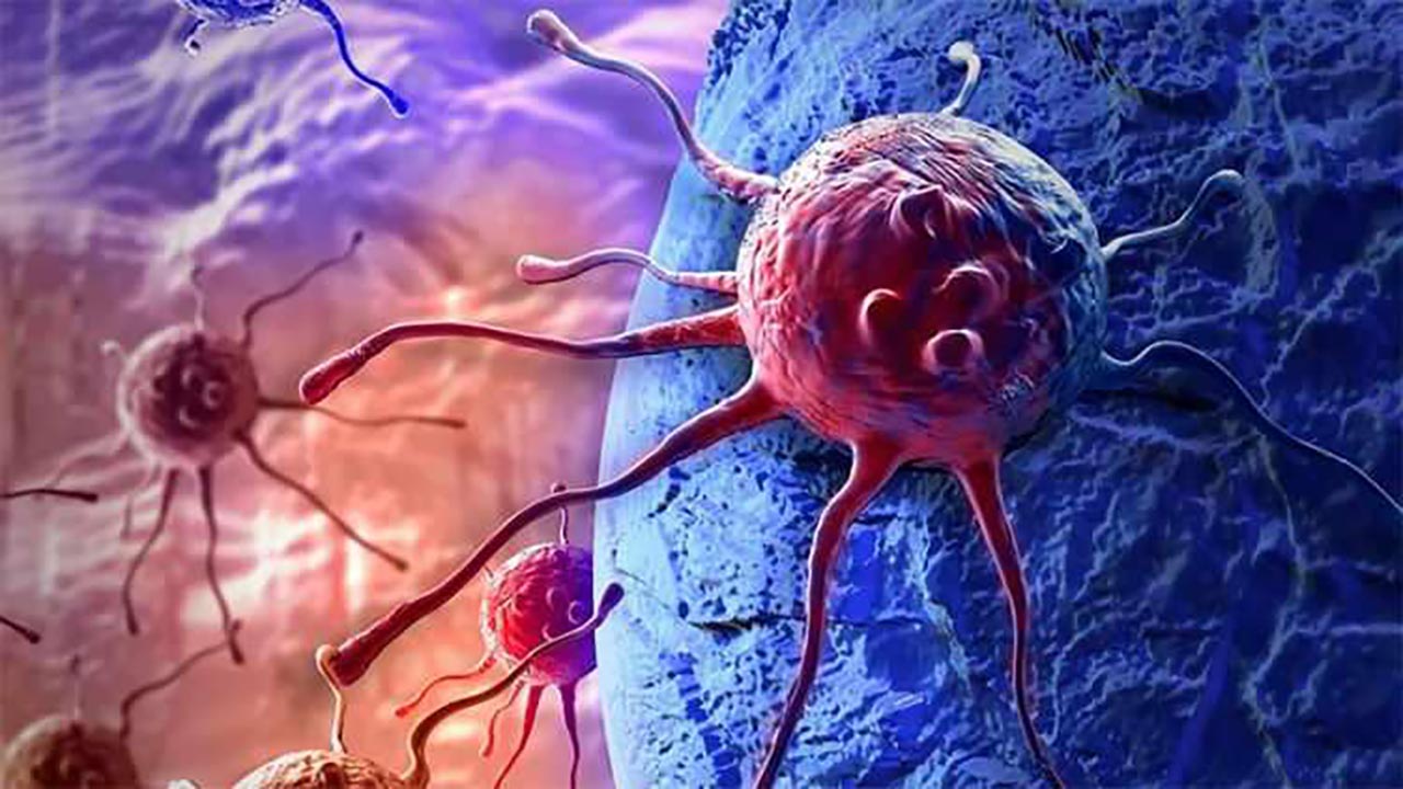 Foto - Dünya Sağlık Örgütü’nden dikkat çeken açıklama! Kanser riskini azaltan 23 yiyecek