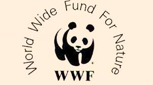 Foto - Dünya şokta! Bu halde bulundu