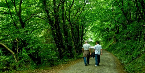 Foto - Dünya tembellik raporu açıklandı! 
