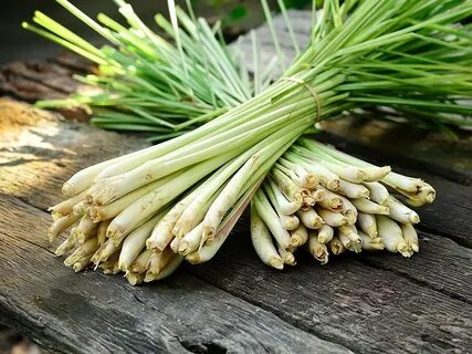 Foto - Dünya tıp tarihine damga vuran bitki! İbn-i Sina'nın asırlık şifa reçetesi! 'Beyne giden damarları açıyor'