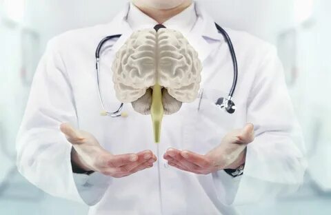 Foto - Dünya tıp tarihine damga vuran bitki! İbn-i Sina'nın asırlık şifa reçetesi! 'Beyne giden damarları açıyor'