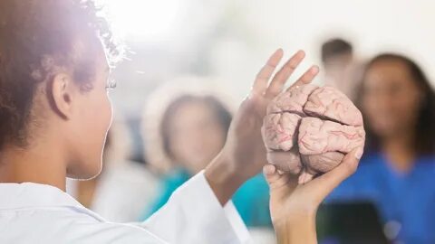 Foto - Dünya tıp tarihine damga vuran bitki! İbn-i Sina'nın asırlık şifa reçetesi! 'Beyne giden damarları açıyor'