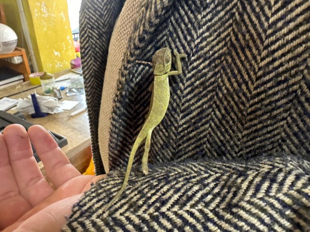 Foto - Dünya Tokat'taki olayı konuşuyor! Her şey manavdan aldığı mandalinayla başladı