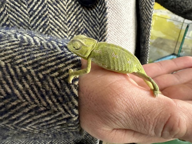 Foto - Dünya Tokat'taki olayı konuşuyor! Her şey manavdan aldığı mandalinayla başladı