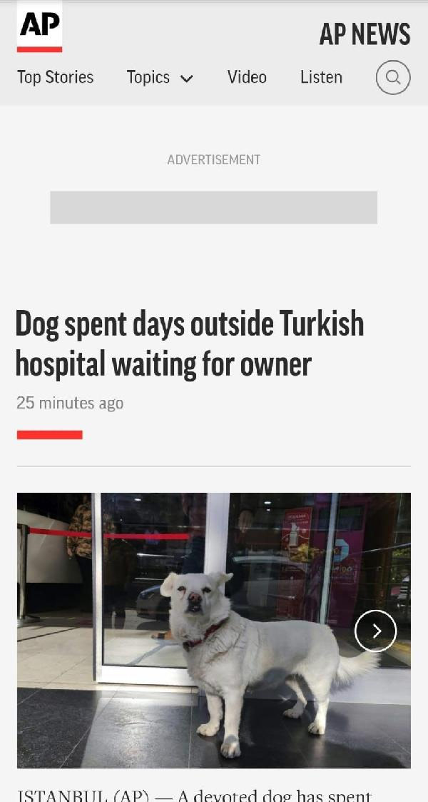 Foto - Dünya Trabzon'daki bu köpeği konuşuyor!