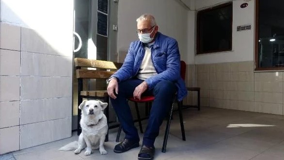 Foto - Dünya Trabzon'daki bu köpeği konuşuyor!