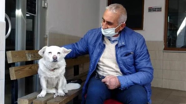 Foto - Dünya Trabzon'daki bu köpeği konuşuyor!
