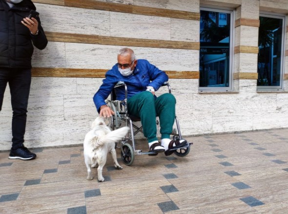 Foto - Dünya Trabzon'daki bu köpeği konuşuyor!