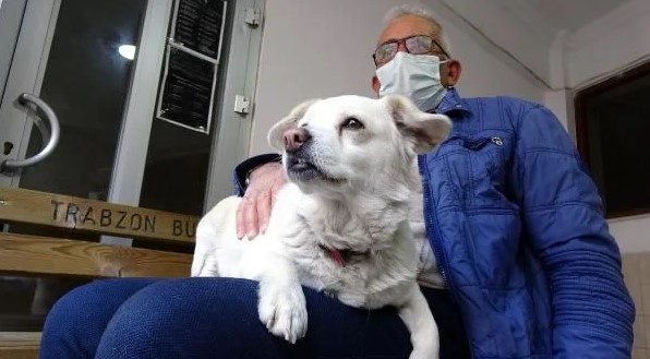 Foto - Dünya Trabzon'daki bu köpeği konuşuyor!