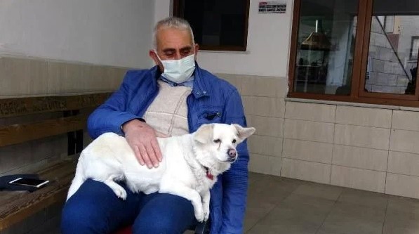 Foto - Dünya Trabzon'daki bu köpeği konuşuyor!