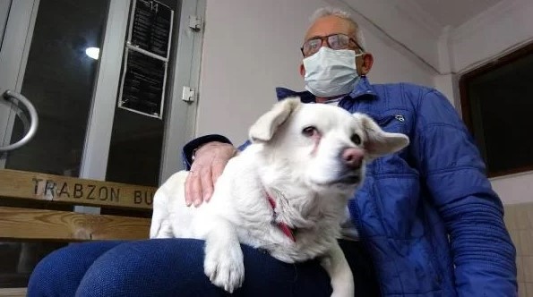 Foto - Dünya Trabzon'daki bu köpeği konuşuyor!