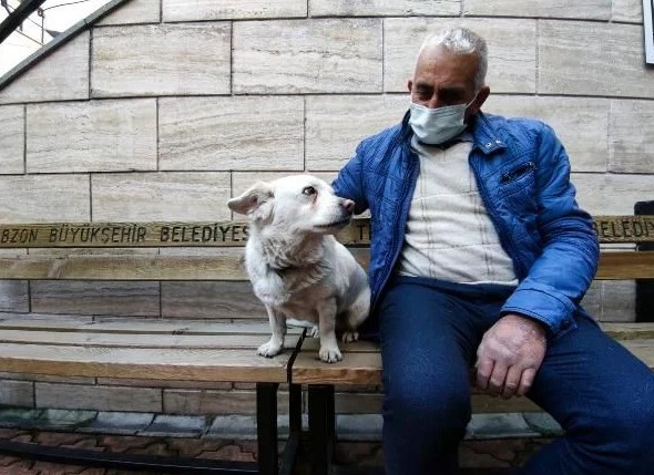 Foto - Dünya Trabzon'daki bu köpeği konuşuyor!