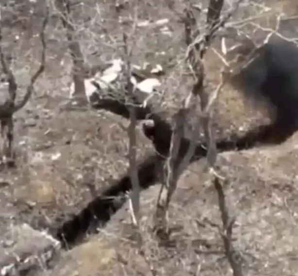 Foto - Dünya Ukrayna askerini konuşuyor! Rus ordusuna tek başına direndi