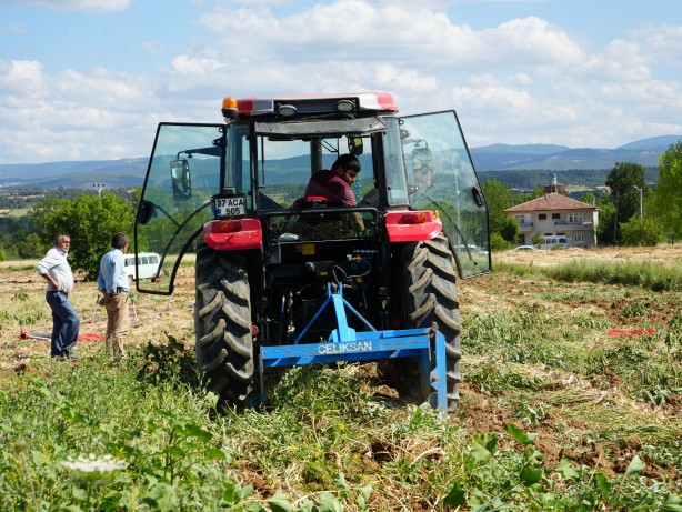 Foto - Dünyaca ünlü Taşköprü sarımsağınıda hasat başladı