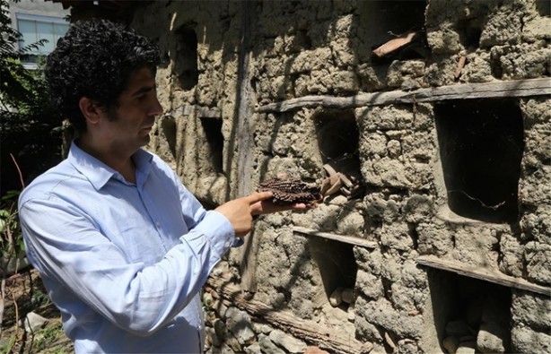 Foto - Dünyada başka bir örneği yok!