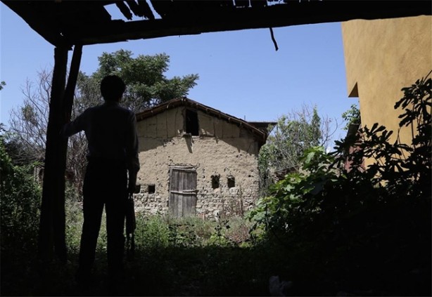 Foto - Dünyada başka bir örneği yok!