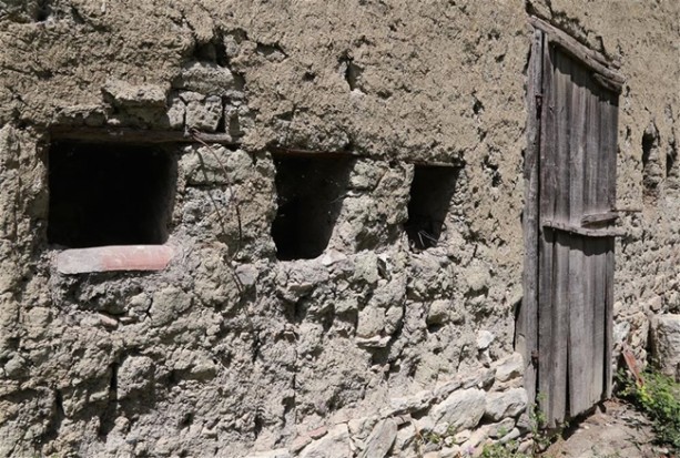 Foto - Dünyada başka bir örneği yok!