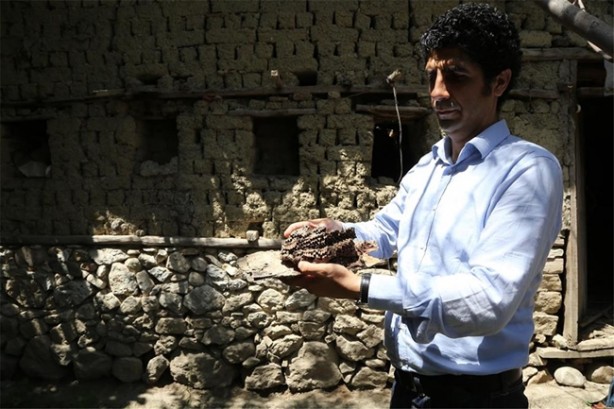 Foto - Dünyada başka bir örneği yok!