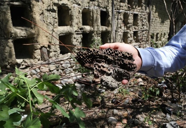 Foto - Dünyada başka bir örneği yok!
