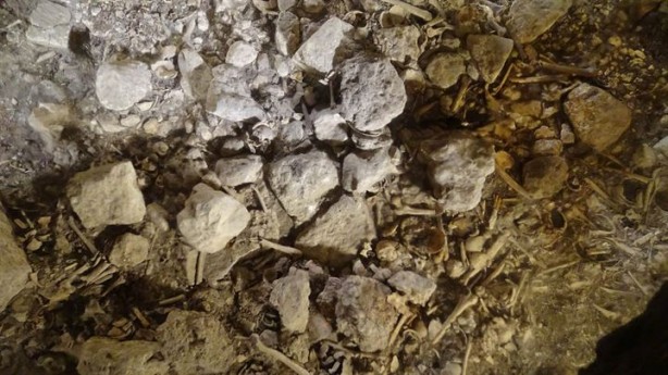 Foto - Dünyada başka örneği yok: Mezarlık galerisi