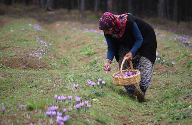 Foto - Dünyada benzeri yok! İkinci el araba fiyatına satılıyor
