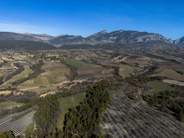 Foto - Dünyada bir eşi daha yok! Yok olmak üzere