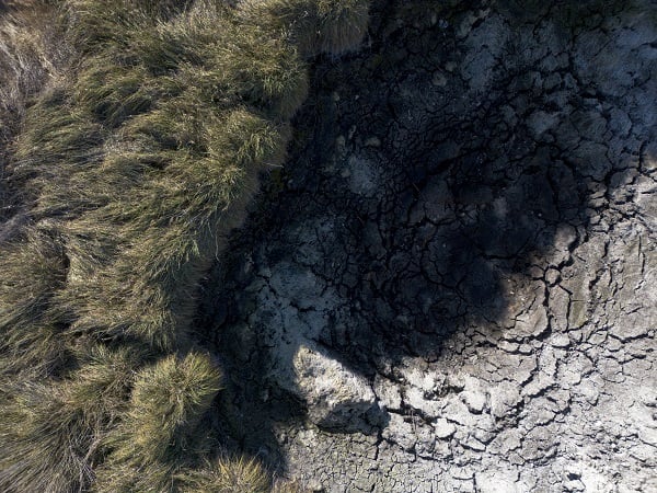 Foto - Dünyada bir eşi daha yok! Yok olmak üzere