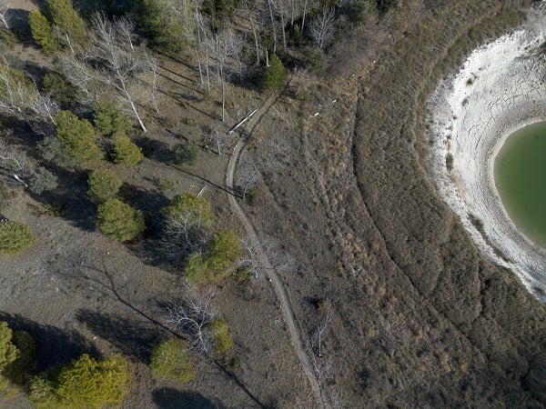 Foto - Dünyada bir eşi daha yok! Yok olmak üzere