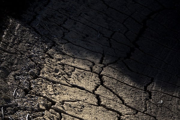 Foto - Dünyada bir eşi daha yok! Yok olmak üzere