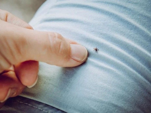 Foto - Dünyada bir ilk! Binlerce kişiyi öldüren hastalığa ilk aşı Türkiye'den