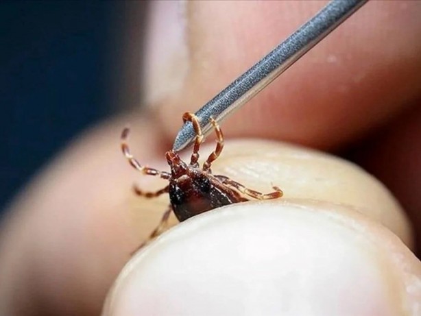 Foto - Dünyada bir ilk! Binlerce kişiyi öldüren hastalığa ilk aşı Türkiye'den
