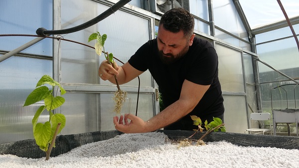 Foto - Dünyada bir ilk! Çiftçilerden yoğun ilgi gördü