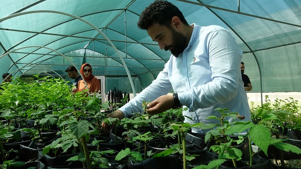 Foto - Dünyada bir ilk! Çiftçilerden yoğun ilgi gördü