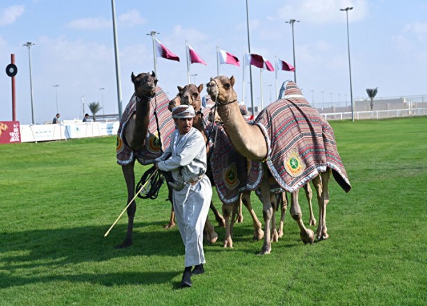 Foto - Dünyada böylesi daha önce görülmedi: Develer üzerinde hentbol maçı oynandı