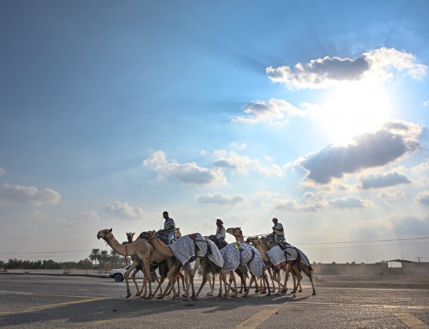 Foto - Dünyada böylesi daha önce görülmedi: Develer üzerinde hentbol maçı oynandı